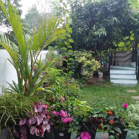 Jungle View One Bedroom Private Apartment Unawatuna Exterior foto
