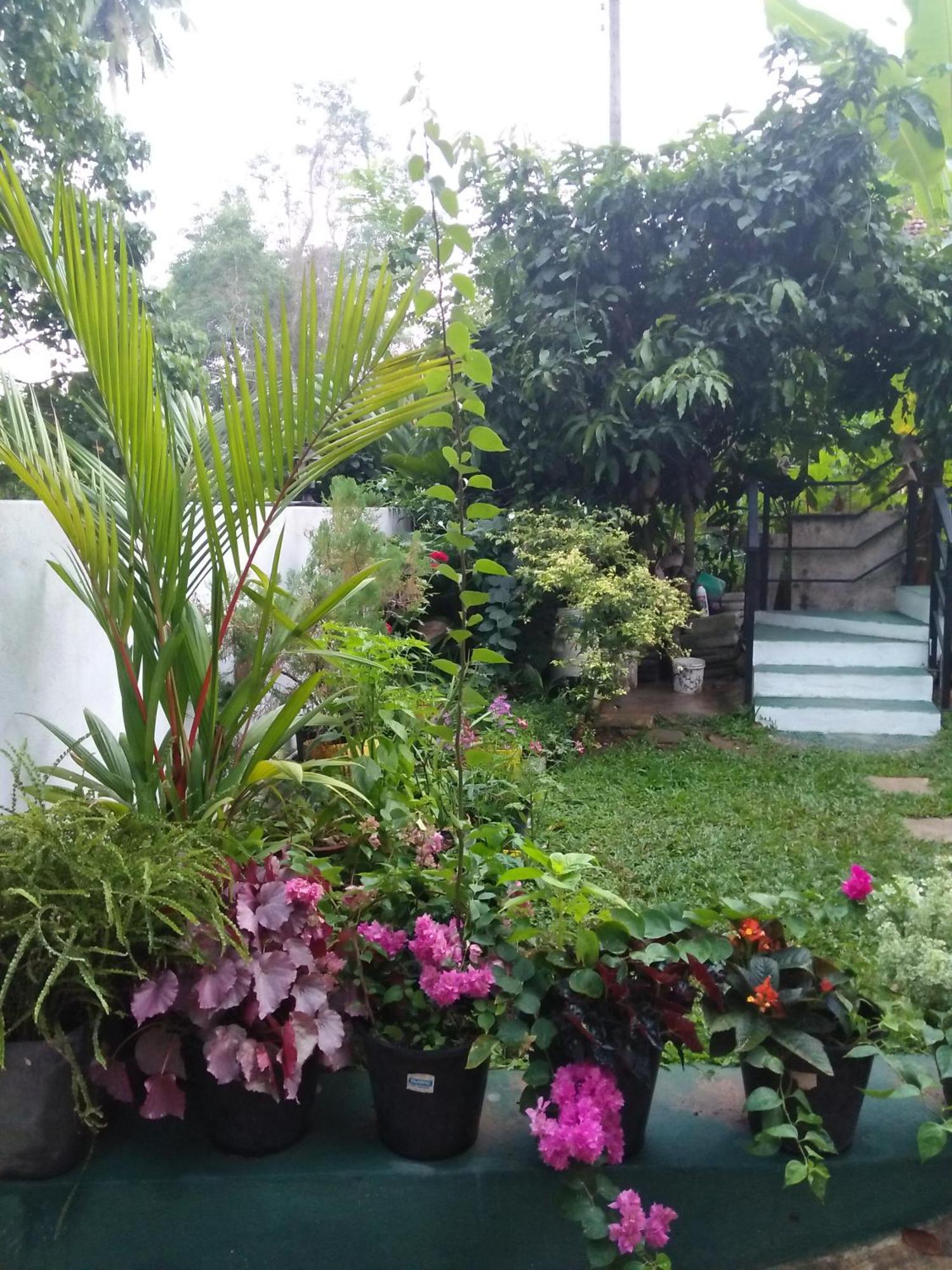 Jungle View One Bedroom Private Apartment Unawatuna Exterior foto